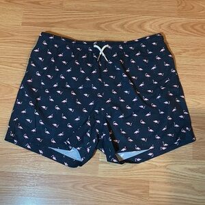 Men's Flamingo Print Swim Trunks - Black and Pink